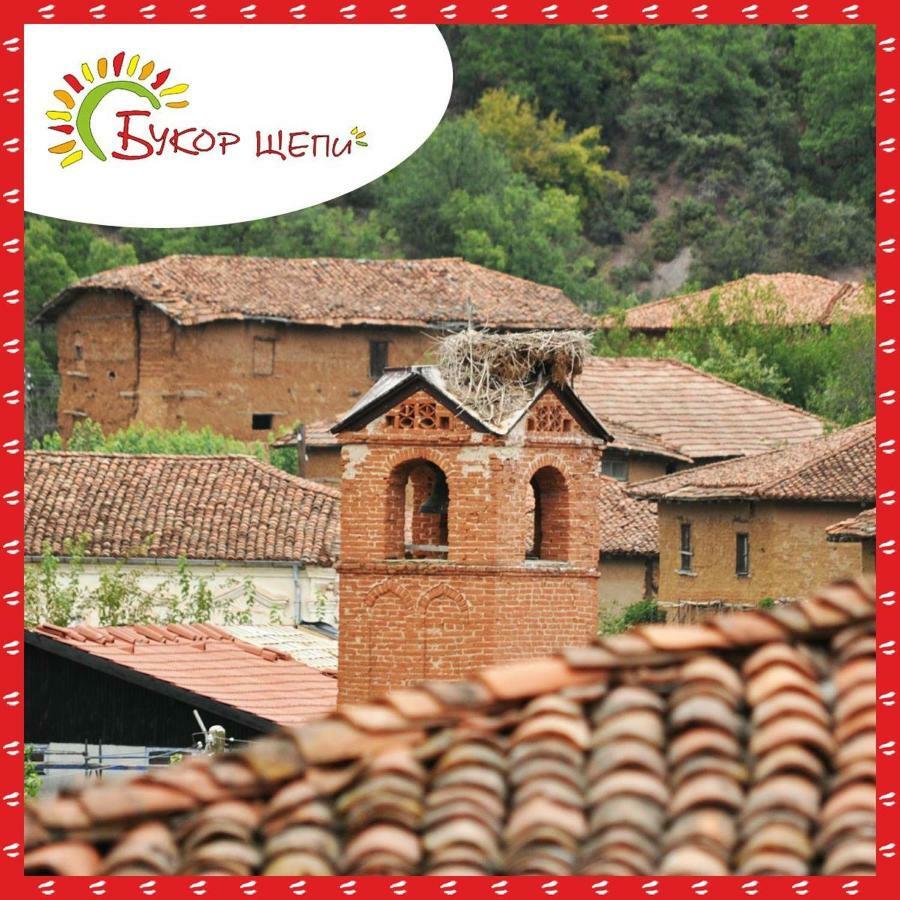 Guest House Bukor Shtepi Mandrica Extérieur photo